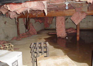Fiberglass dripping off of the ceilings of a Auburn crawl space