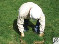 Restoring the landscaping by replacing removed sod on the ground for a Jamesville home.