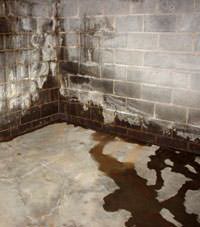 Water seeping through a concrete wall in a Fayetteville basement