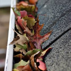 Clogged gutters filled with fall leaves  in Little Falls