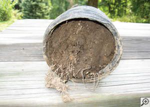 clogged french drain found in Central Square, New York