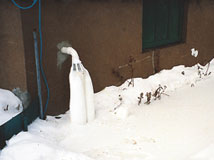 IceGuard® Installed Cicero